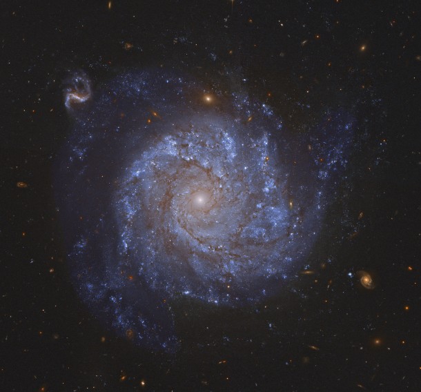 NGC  Spiral Galaxy and Friends -- after you get over this beautiful galaxys grand design check out the array of more distant background galaxies 