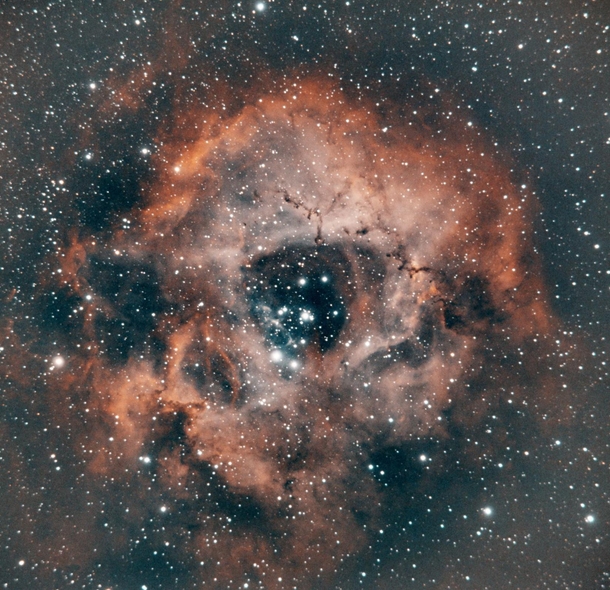 NGC  - The Rosette Nebula