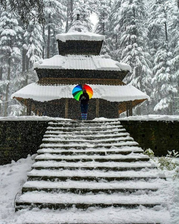 Nice Snow and Nice Umbrella in India