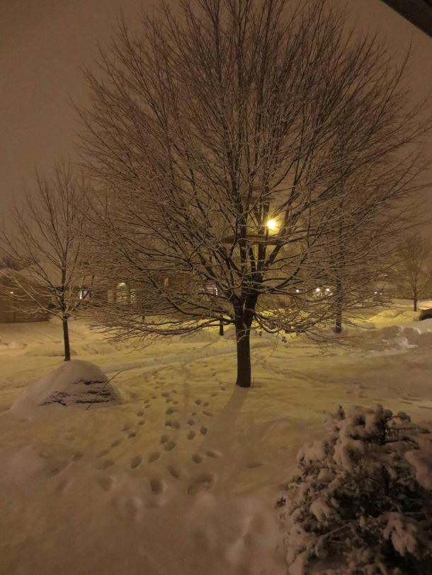 Nighttime outside my house after a snowstorm 