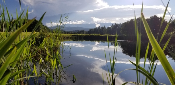 No filters no fancy editing A backyard in Vermont x OC
