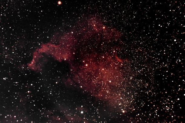 North American nebula from my backyard Bortle 