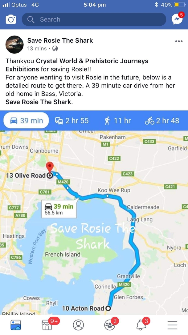 Not sure if anyone is curious as to the fate of Rosie the abandoned shark or of this is the correct place to post this but she will NOT be destroyed