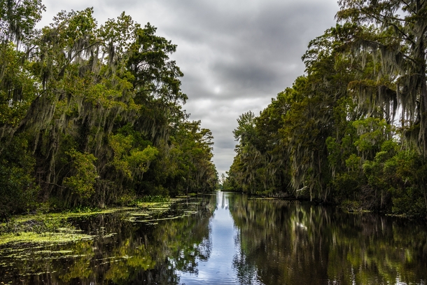 Not your typical EP image but theres something eerily beautiful about the Jean Lafitte Bayou LA 