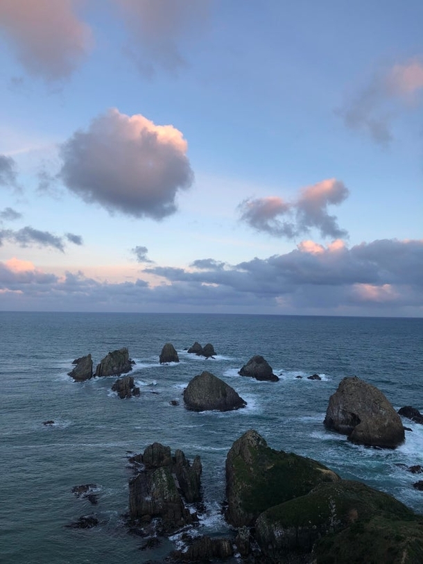 Nugget Point New Zealand 