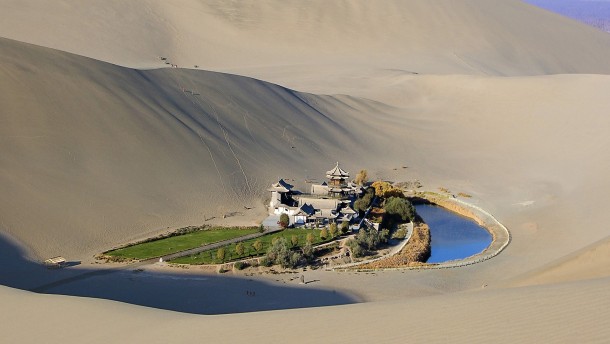 Oasis in the Gobi Desert 