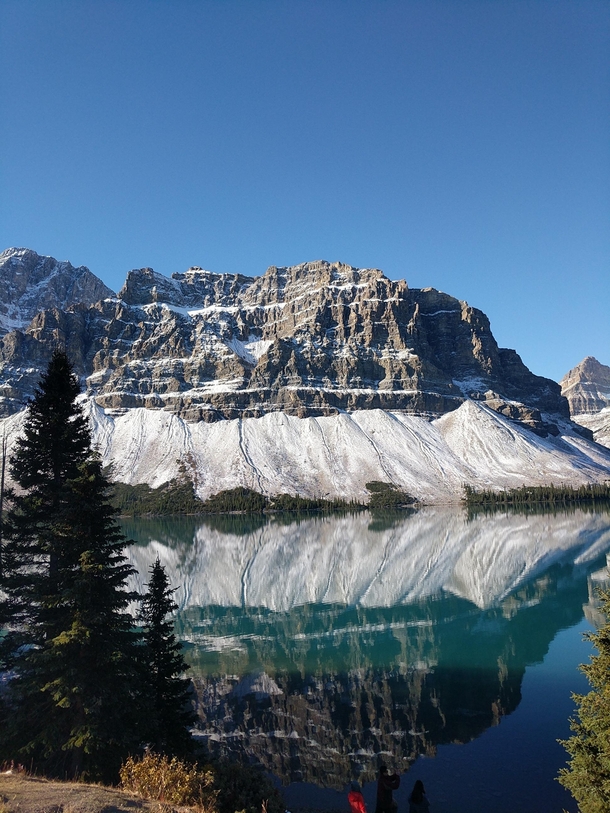 OC Bow Lake off of Icefields Parkway X