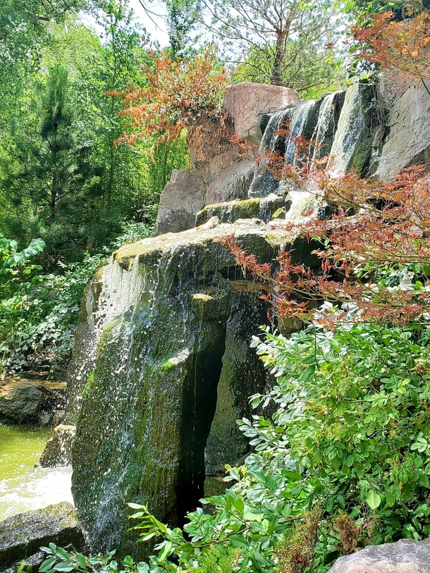 OC Waterfall at the Japanese Garden in ABQ Botanical Gardens x