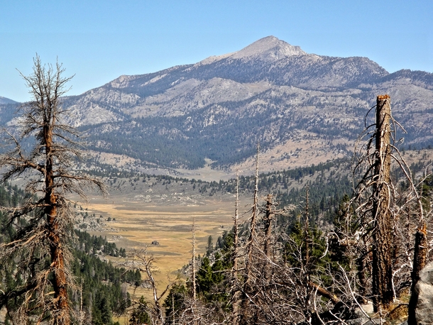 Olanche Peak and Monache Meadow California 