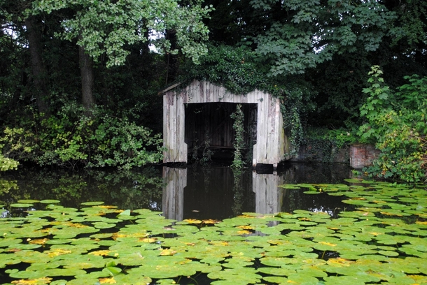 Old boat house at the far end of the lake surrounded by lily pads 