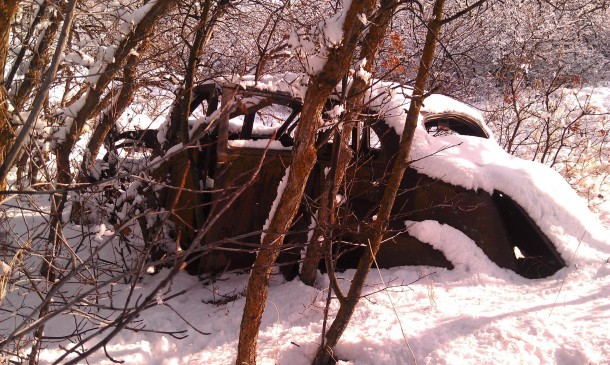Old car in the foothills above Ogden Utah Oak trees have grown around it and its at least a mile from any roads 