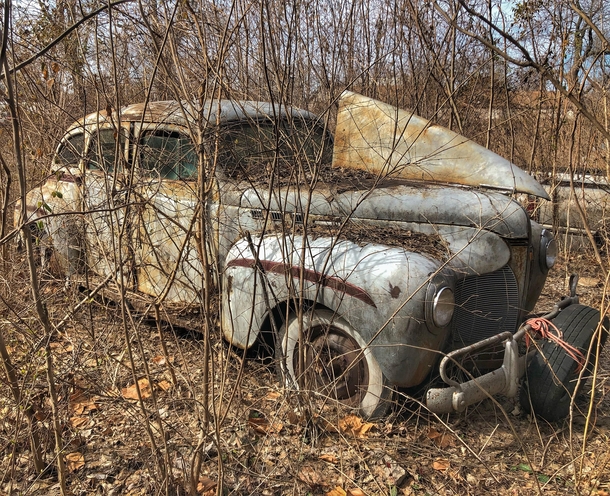 Old DeSoto hidden in the weeds of an abandoned car lot You cant see this thing at all during the summer