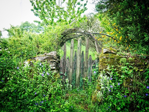 Old Garden gate When people leave Nature takes over Photo by Willie Jarl Nilsen 