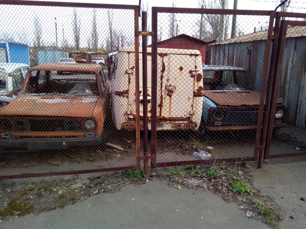 Old Soviet cars rusting away 