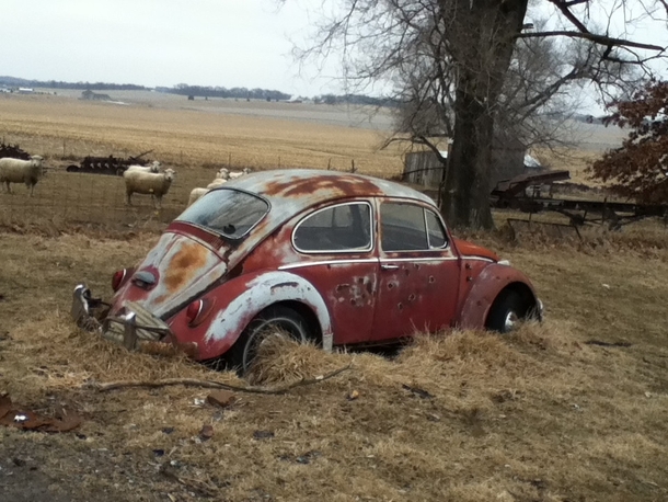 Old Volkswagen at my grandpas farm 