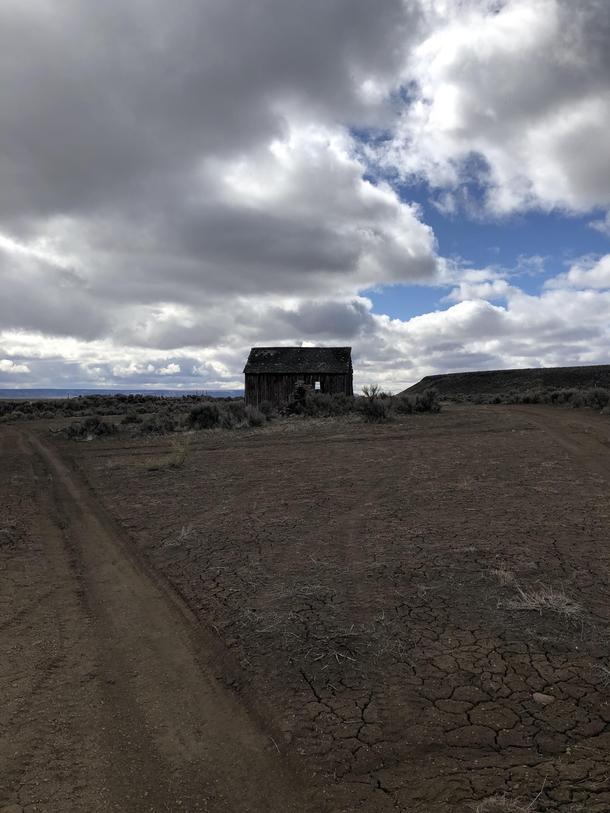 On an isolated ranch on an isolated plane stands an isolated hut in environs so majestically vast and empty you feel as if the land could swallow you whole