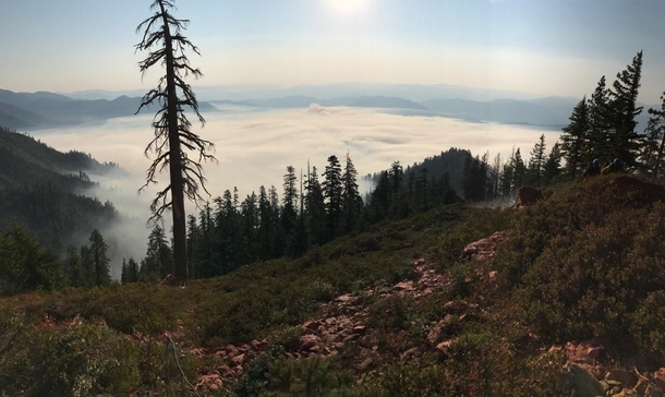 On my last fire assignment up in the Klamath NF CA Our crew had been cutting line up to this point everyday for a week and the inversion of smoke settled nicely here 