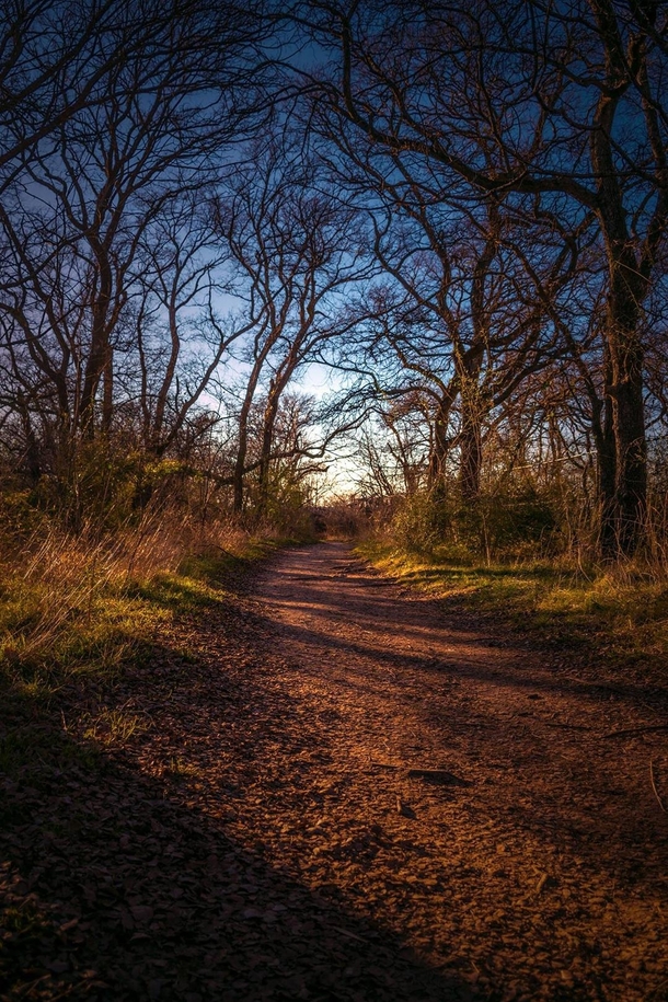 On my way home Arbor Hills Nature Preserve in Carrollton TX 