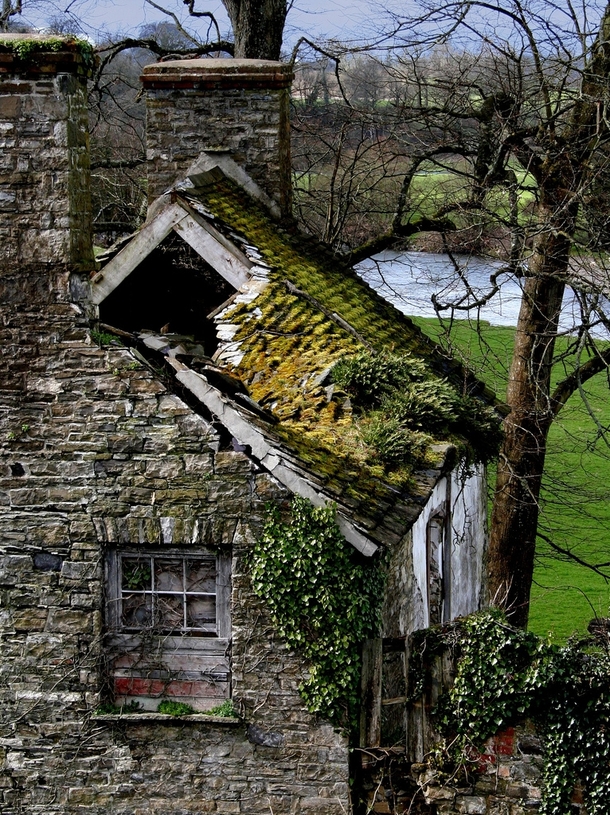 Once a cozy country cottage now derelict and fallen into disuse Photo by Anthony Thomas 