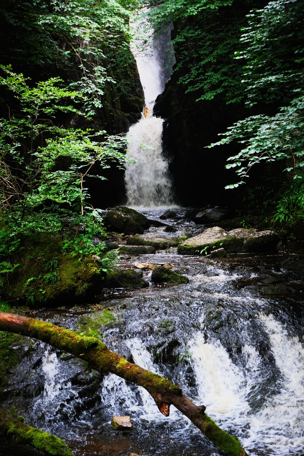 One of my favourite waterfalls in the Yorkshire Dales Catrigg Force Yorkshire Dales England 