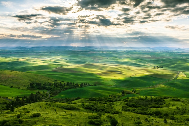 One of the best instances of top to bottom beauty in a single shot - Steptoe Butte State Park Washington  Photo by Craig Goodwin
