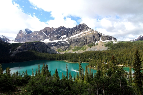 One of the most beautiful hikes Ive ever done to see Lake OHara Yoho National Park 