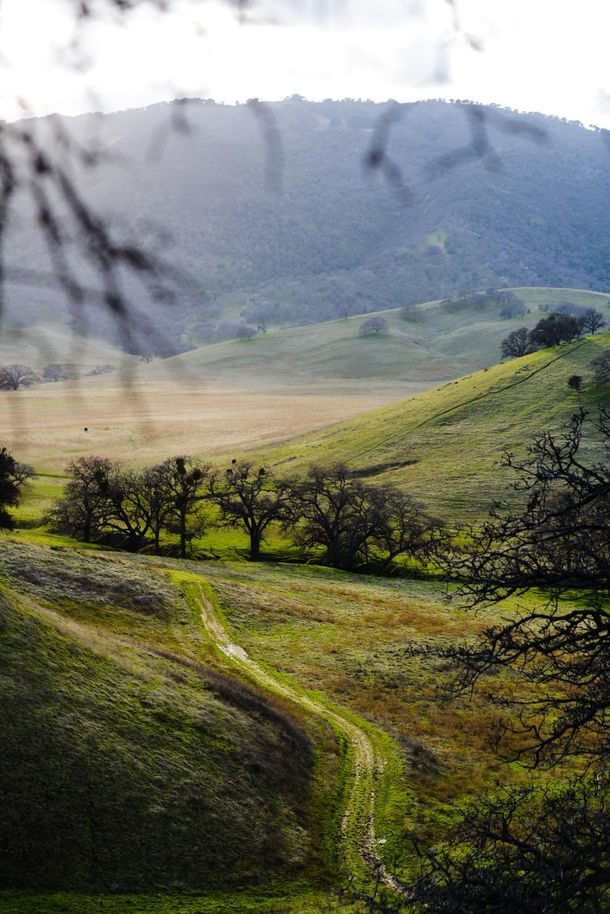 One of the smaller parks ive been too but still as lovely Round Valley Regional Preserve CA 