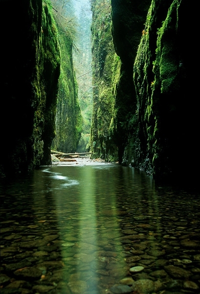 Oneonta Gorge Oregon 