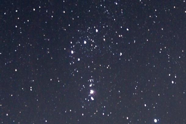 Orions Belt and the Orion Nebula Im very amateur go easy on me 