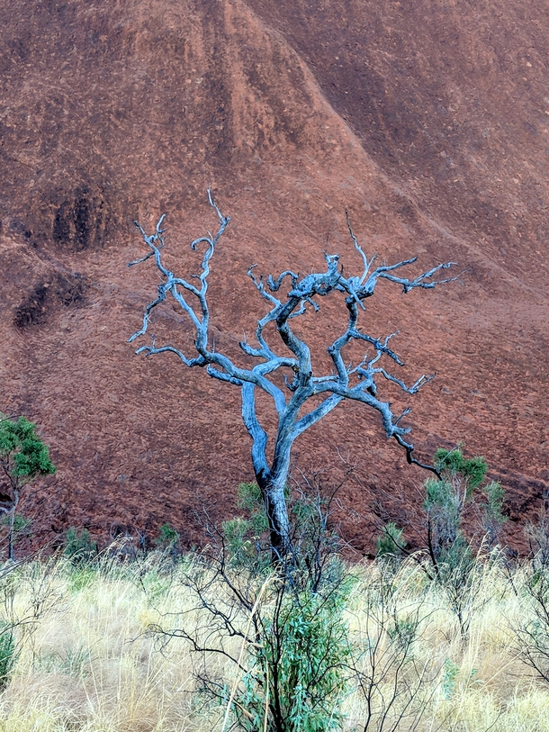 Otherworldly Uluru 