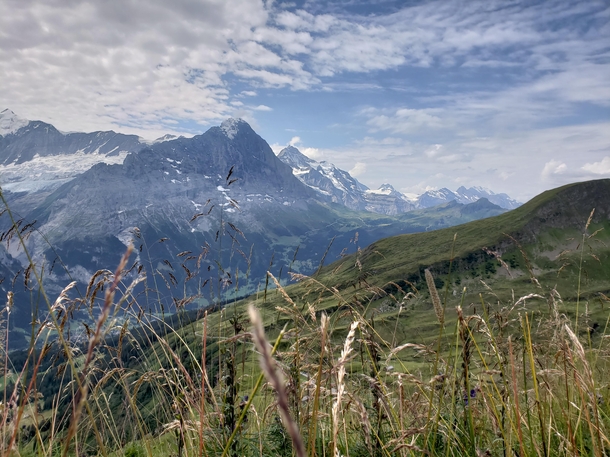 Over the green hills and the alps far away Grindelwald Switzerland 