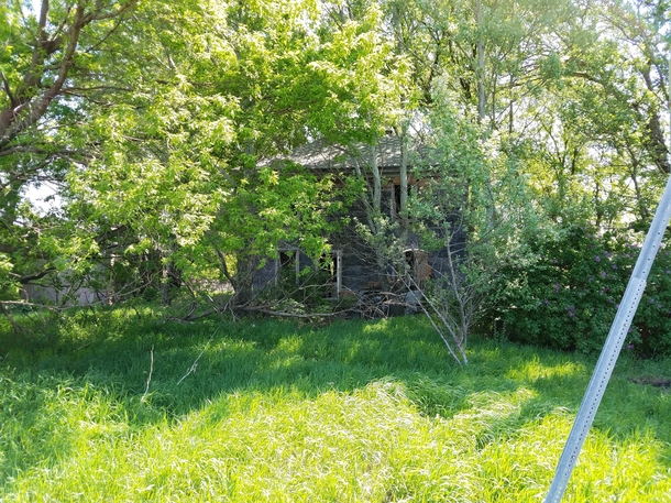 Overgrown abandoned home near Highway  outside of Le Sueur Minnesota 