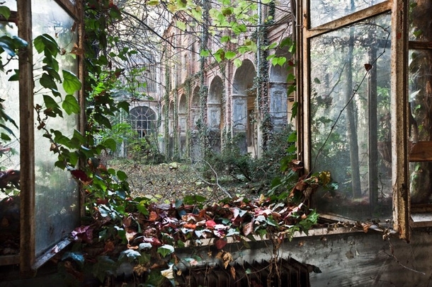 Overgrown courtyard at an abandoned psychiatric hospital 