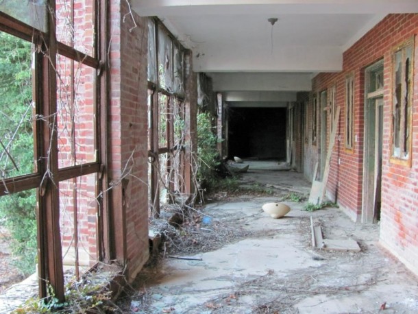 Overgrown hallway in Glenn Dale Hospital Glenn Dale MD 