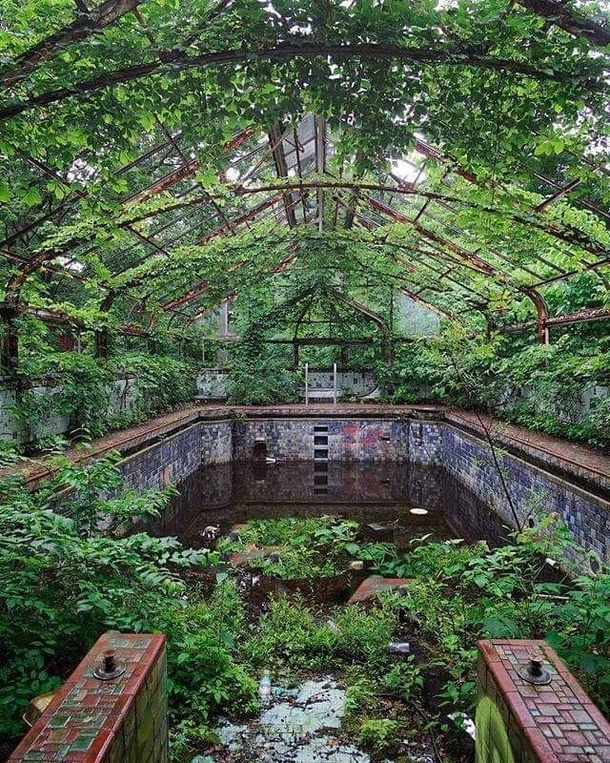Overgrown pool at an abandoned mansion