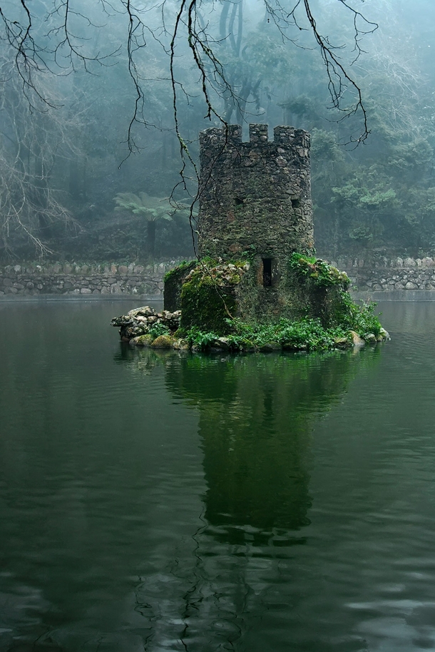 Overgrown Ruins of A Celtic Castle  x-post from rpics
