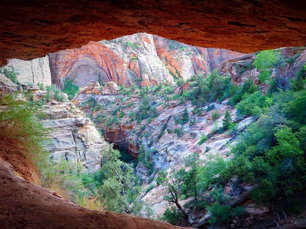 Overhang on the East Canyon Trail Zion NP x OC