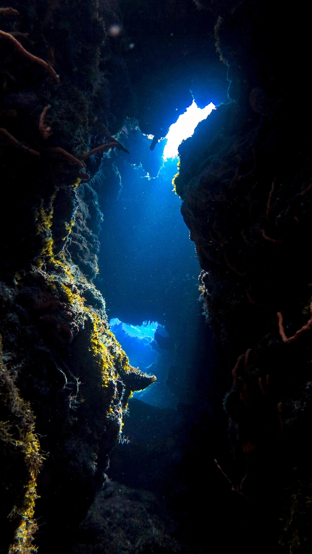 Palancar Caves Mexico 