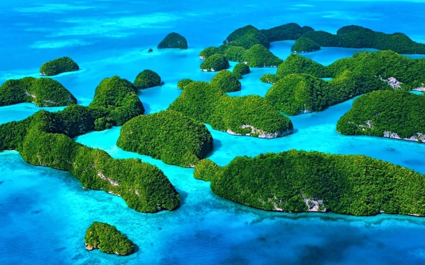 Palau - Worlds First Shark Sanctuary 
