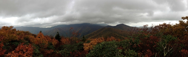 Panoramic View from Graybeard Mountain NC x