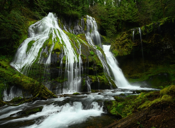 Panther Creek Falls in southern Washington state looks amazing after rainfall 