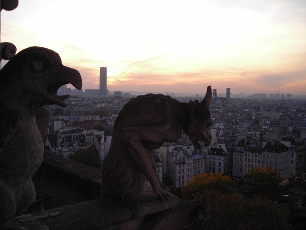 Paris France the Notre Dame gargoyles guard at sunset 