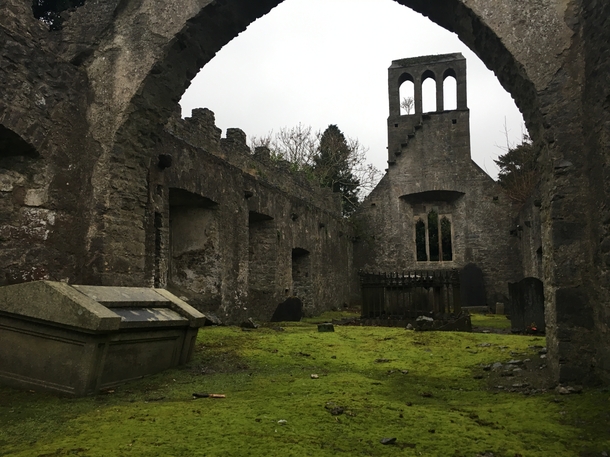 Part Two Ruined Church in Ireland Interior  x 