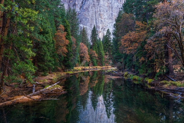 Peaceful afternoon on the Merced River Yosemite National Park 