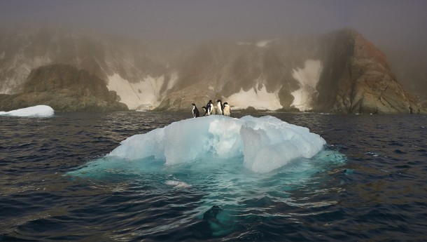 Penguins standing on receding Iceberg  