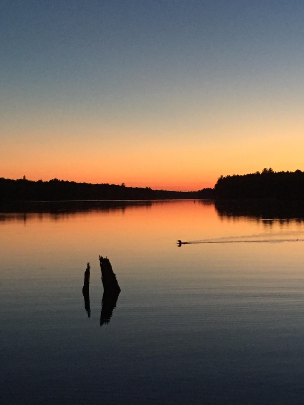 Perfect timing at a Maine lake 