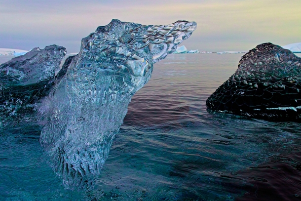 Perfectly clear glacial Ice Antarctica 