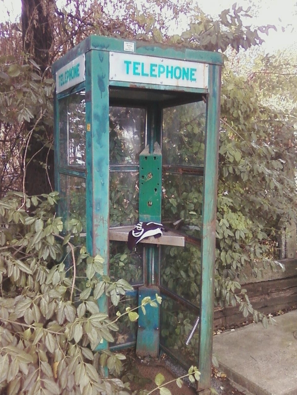 Phone booth Garrison New York - its surprising how rare it is to find an abandoned one 