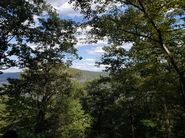 Picture I took while hiking the Appalachian Trail 