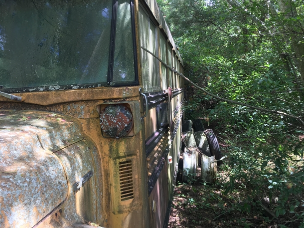 Picture of a school bus i took reminds me of The Last of Us